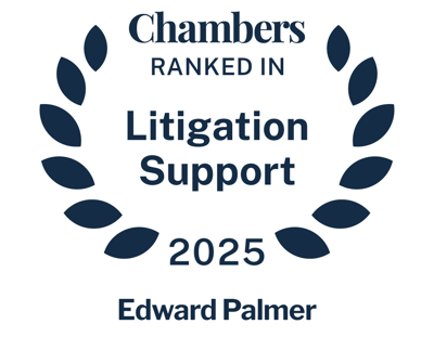 Edward-Palmer-Litigation-Support