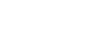 Mintz Group